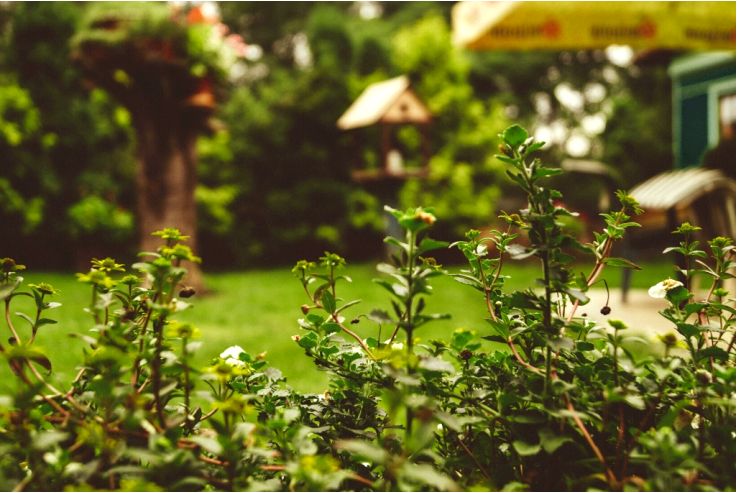Обустройство сада - идеи и вдохновения для обустройства сада перед домом