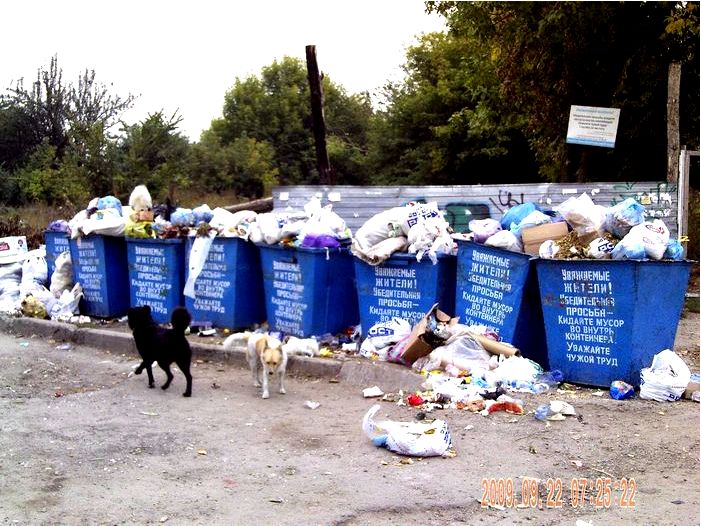 Проблема вывоза мусора в современных городах
