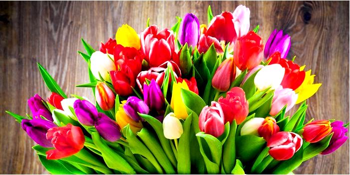Какие цветы дарить на 8 марта?
