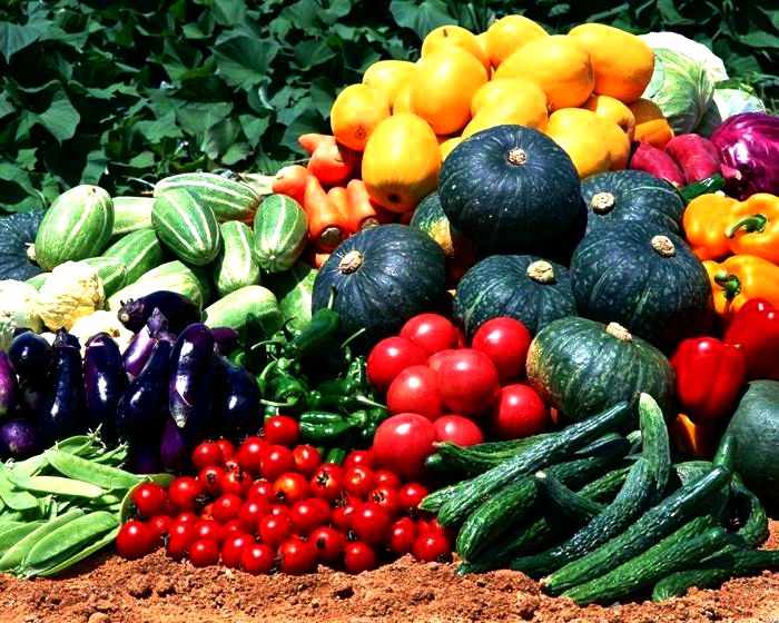 Семена овощей - на что обращать внимание
